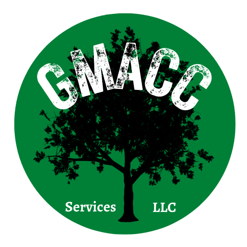 GMACC Services LLC